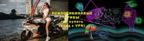 тгк Аркадак