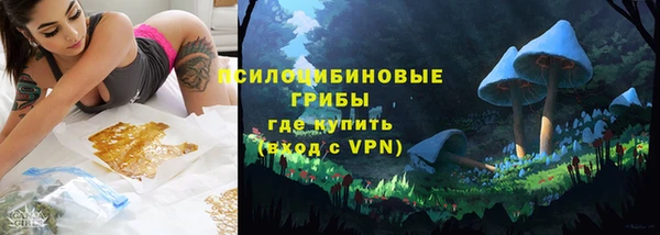 тгк Аркадак
