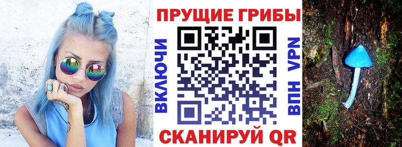 Галлюциногенные грибы мицелий Белоусово